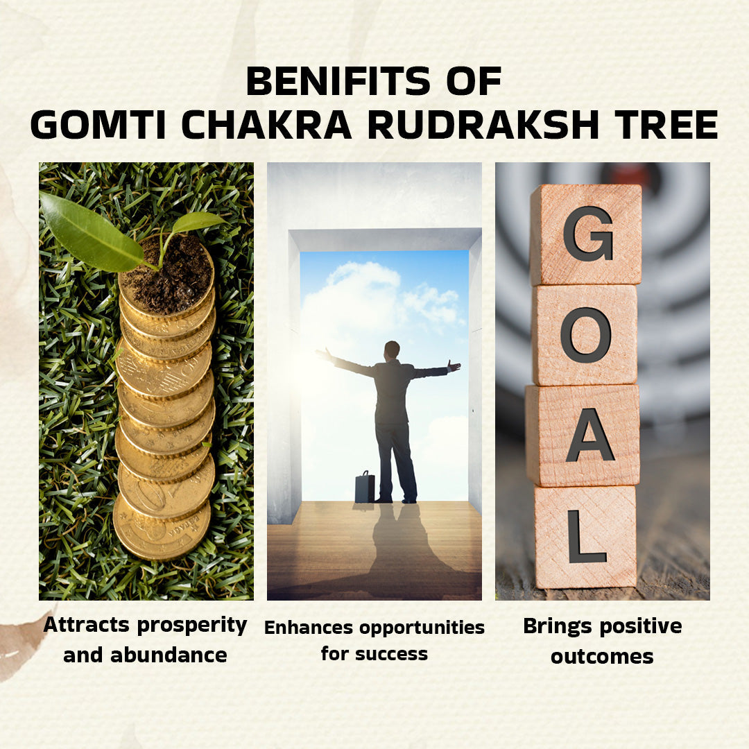 Wealth, Abundance & Prosperity: Natural & Original Gomti Chakra Crystal Tree | Showpiece for Home, Office, Table